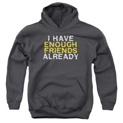 Trevco - Youth Enough Friends Pullover Hoodie