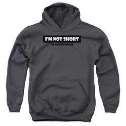 Trevco - Youth Not Short Pullover Hoodie