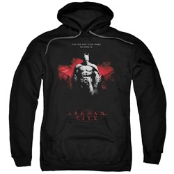 Batman: Arkham City - Mens Standing Strong Hoodie