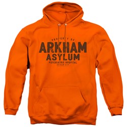Batman - Mens Arkham Asylum Pullover Hoodie