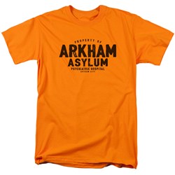 Batman - Mens Arkham Asylum T-Shirt