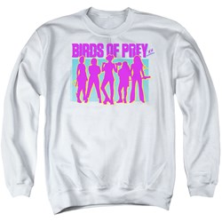 Birds Of Prey - Mens Silhouettes Sweater