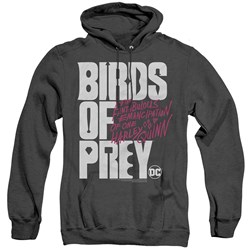 Birds Of Prey - Mens Birds Of Prey Logo Hoodie