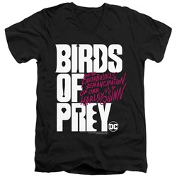 Birds Of Prey - Mens Birds Of Prey Logo V-Neck T-Shirt