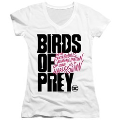 Birds Of Prey - Juniors Birds Of Prey Logo V-Neck T-Shirt