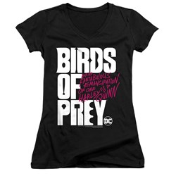 Birds Of Prey - Juniors Birds Of Prey Logo V-Neck T-Shirt