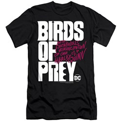 Birds Of Prey - Mens Birds Of Prey Logo Slim Fit T-Shirt