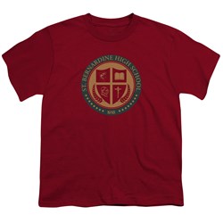 American Vandal - Youth St Bernardine Seal T-Shirt