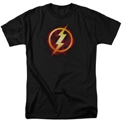 Justice League - Mens Flash Title T-Shirt