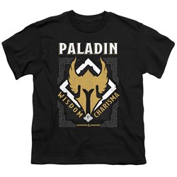 Dungeons And Dragons - Youth Paladin T-Shirt