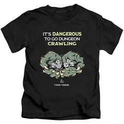 Dungeons And Dragons - Youth Dangerous To Go Alone T-Shirt