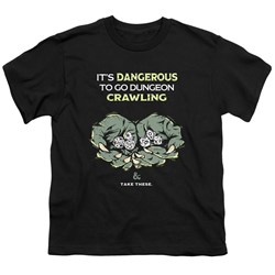 Dungeons And Dragons - Youth Dangerous To Go Alone T-Shirt