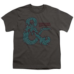 Dungeons And Dragons - Youth Ampersand Classes T-Shirt