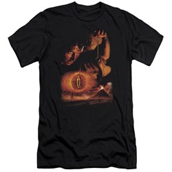 Lord Of The Rings - Destroy The Ring Adult  Short Sleeve T-Shirt In Black