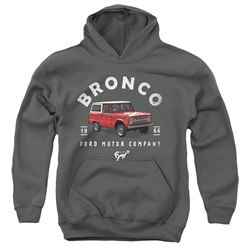 Ford Bronco - Youth Bronco Illustrated Pullover Hoodie