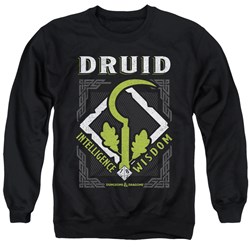 Dungeons And Dragons - Mens Druid Sweater
