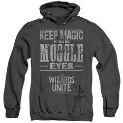 Harry Potter - Mens Hidden Magic Hoodie