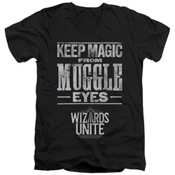 Harry Potter - Mens Hidden Magic V-Neck T-Shirt