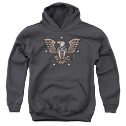 Trevco - Youth American Eagle Pullover Hoodie