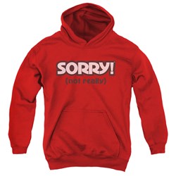 Sorry - Youth Not Sorry Pullover Hoodie
