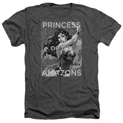 Justice League - Mens Princess Of The Amazons Heather T-Shirt