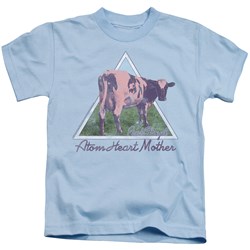 Pink Floyd - Youth Atom Mother Heart Pyramid T-Shirt