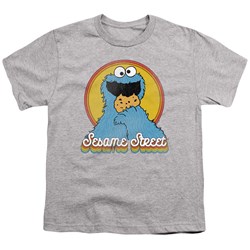 Sesame Street - Youth Cookie Monster Layers T-Shirt