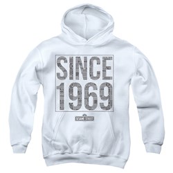 Sesame Street - Youth Since 1969 Pattern Pullover Hoodie