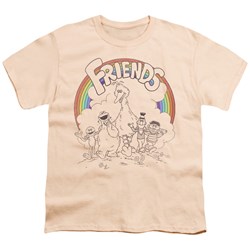 Sesame Street - Youth Friends T-Shirt