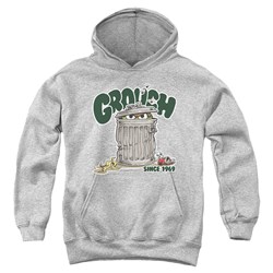 Sesame Street - Youth Grouch Pullover Hoodie