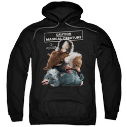 Fantastic Beasts 2 - Mens Cuddle Puddle Pullover Hoodie