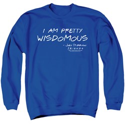Friends - Mens Wisdomous Sweater
