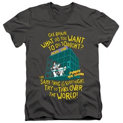 Pinky And The Brain - Mens The World V-Neck T-Shirt