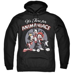 Animaniacs - Mens Its Time For Pullover Hoodie