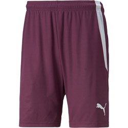 Puma - Mens Teamliga Shorts