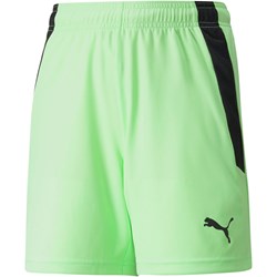 Puma - Juniors Teamliga Shorts