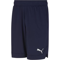 Puma - Mens Rtg Shiny Fabric 10 Us Shorts