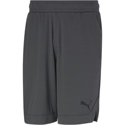 Puma - Mens Rtg Shiny Fabric 10 Us Shorts