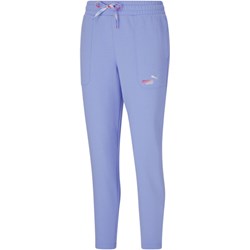 Puma - Womens Elevated Ess Ombre Pant Ft
