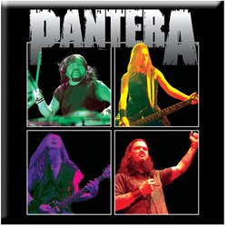 Pantera - Unisex Band Photo Fridge Magnet
