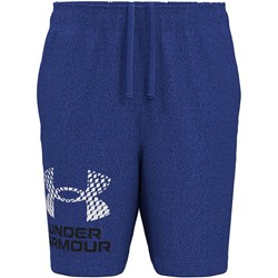Under Armour - Boys Tech Logo Shorts
