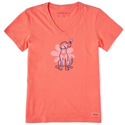 Life Is Good - Womens Spring Daisy Dog T-Shirt