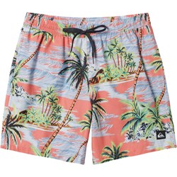 Quiksilver - Mens Everyday Mix Volley 17Nb Shorts