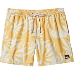 Quiksilver - Mens Everyday Mix Volley 17Nb Shorts