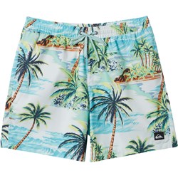 Quiksilver - Mens Everyday Mix Volley 17Nb Shorts