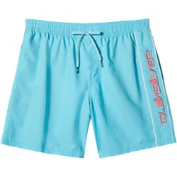 Quiksilver - Mens Everyday Vert Volley 2 17Nb Shorts