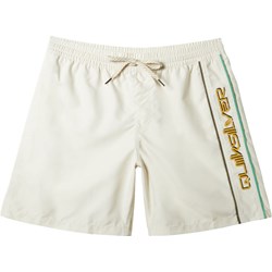 Quiksilver - Mens Everyday Vert Volley 2 17Nb Shorts