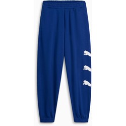 Puma - Mens Brand Repeat Sweatpant