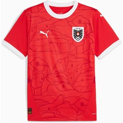 Puma - Mens Ofb Home Jersey Replica