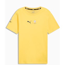 Puma - Mens Conmebol Ca Colombia Tee